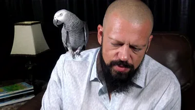 JamiestoneXXX Orion shares stories & beards while reading bookclub with JamiestoneXXX
