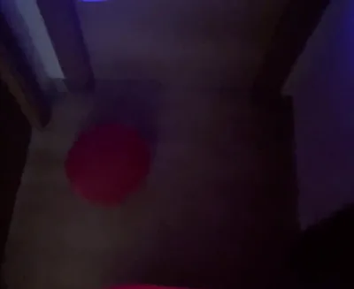 Bee Looner dominates and humiliates Aka Beelooner in exclusive solo session