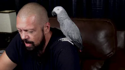 Jamie StoneXXX and her beheaded brain share their stories in a bookclub orgy