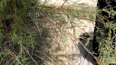 JamiestoneXXX gets her tight ass drilled hard & deep in the outdoors