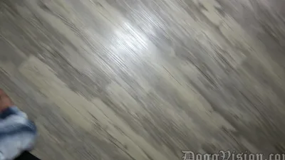 DoggVisionXL's petite frame can't handle the creampie!