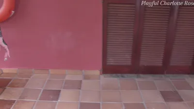 Charlotte Ro The Holiday Toilet: A Piss Whore Exhibitionist's Obsession