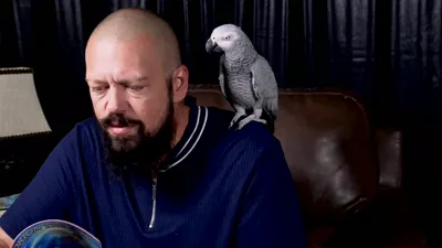 Jamie StoneXXX's Christmas night: A wild bearded adventure!