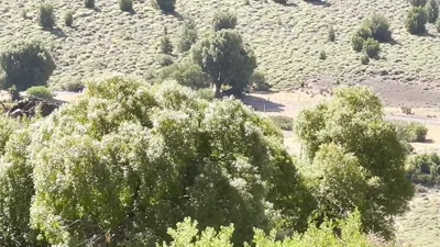 Rebecca De Winter gets wild on a hiking trip with many vlogs