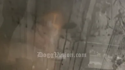 DoggVisionXL's Ass Eating Purple Vibrator Gets a Facial in Interracial Shower Scene