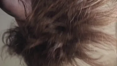 Paz Jaurora gets hot and heavy in this exclusive homemade video onlyfans
