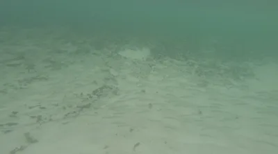 MandyBabyxxx gets wet & wild in Mexico with her many vids!