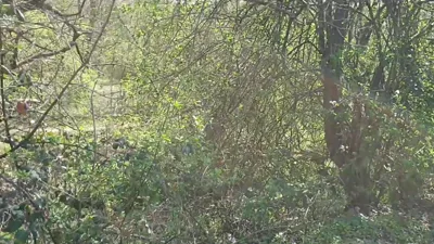 MaryBerry gets her tits out and fucks like a pro in wild outdoor POV sexcapade