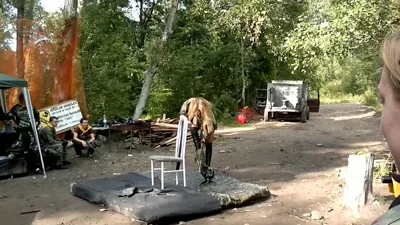 Get ready for a wild ride as Mix strips down and takes it all in!