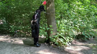 Watch Clips4Sale dominate her helpless pony with kinky Predicament & leather fetish in 4K HD