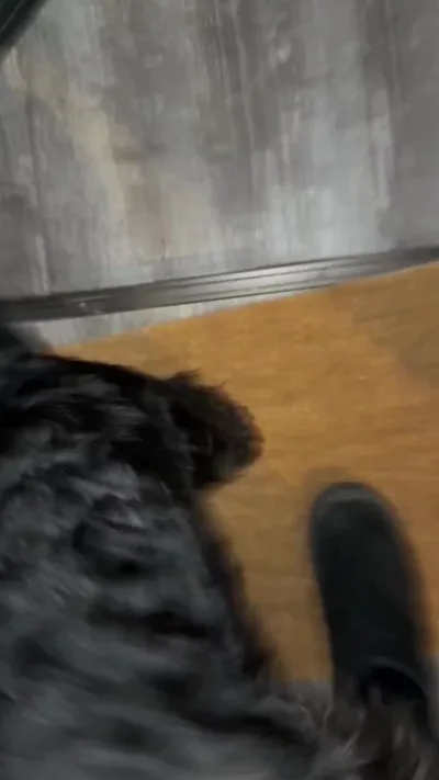 Baebaezoe's exclusive homemade video: My Minzi greets me after work today