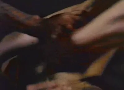 Watch these horny babes in full xxx films: Annette Haven, Bonnie Holiday, Sharon Thorpe, Susan Bates, David Colson, Jay